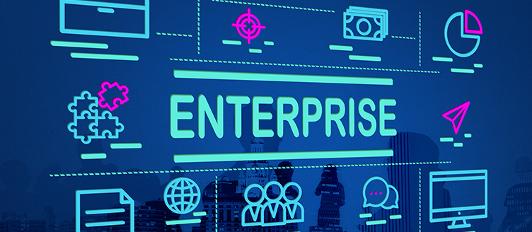 Enterprise Web Portals