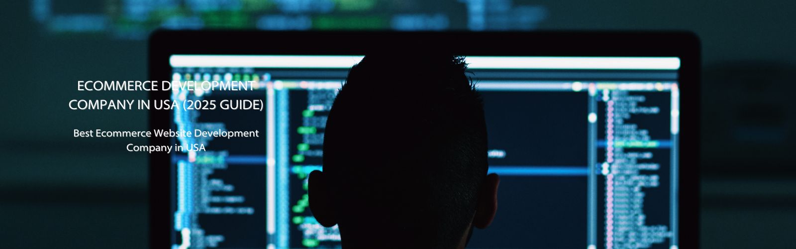 best ecommerce website development company in usa for custom ecommerce design and development in 2025