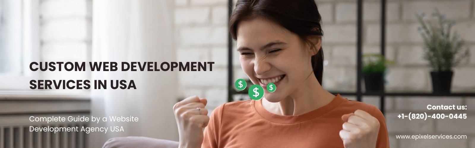 website development agency USA creating custom website design and development solutions