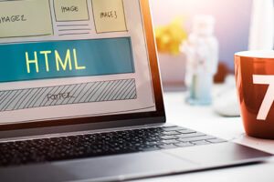 Expert Web Design & Development Solutions for Businesses Across the USA